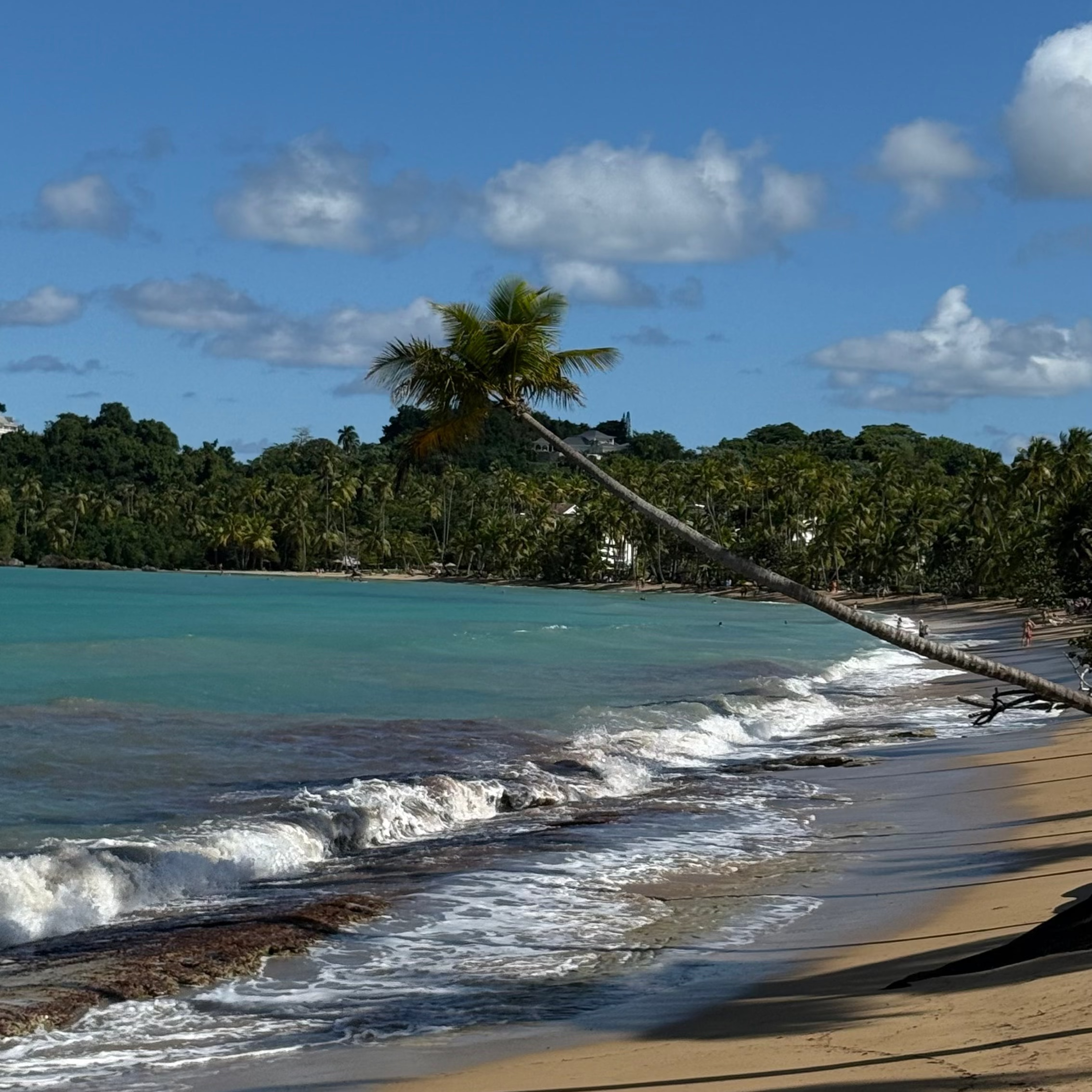 Cosón Pendant Necklace